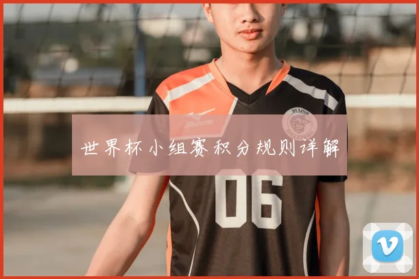 世界杯小组赛积分规则详解