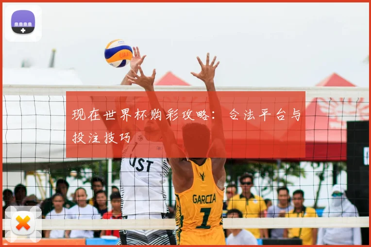 现在世界杯购彩攻略：合法平台与投注技巧