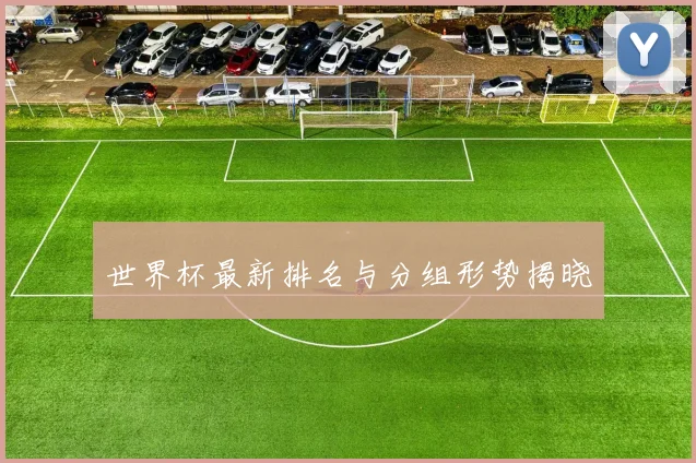 世界杯最新排名与分组形势揭晓