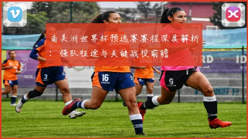 南美洲世界杯预选赛赛程深度解析：强队征途与关键战役前瞻