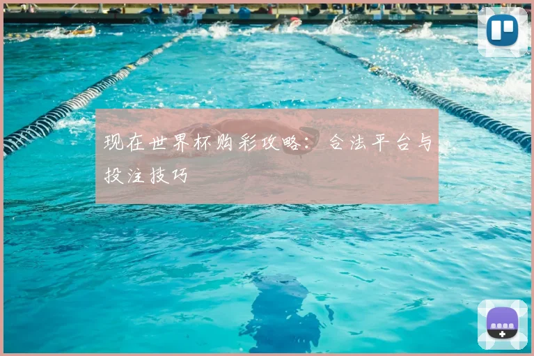 现在世界杯购彩攻略：合法平台与投注技巧